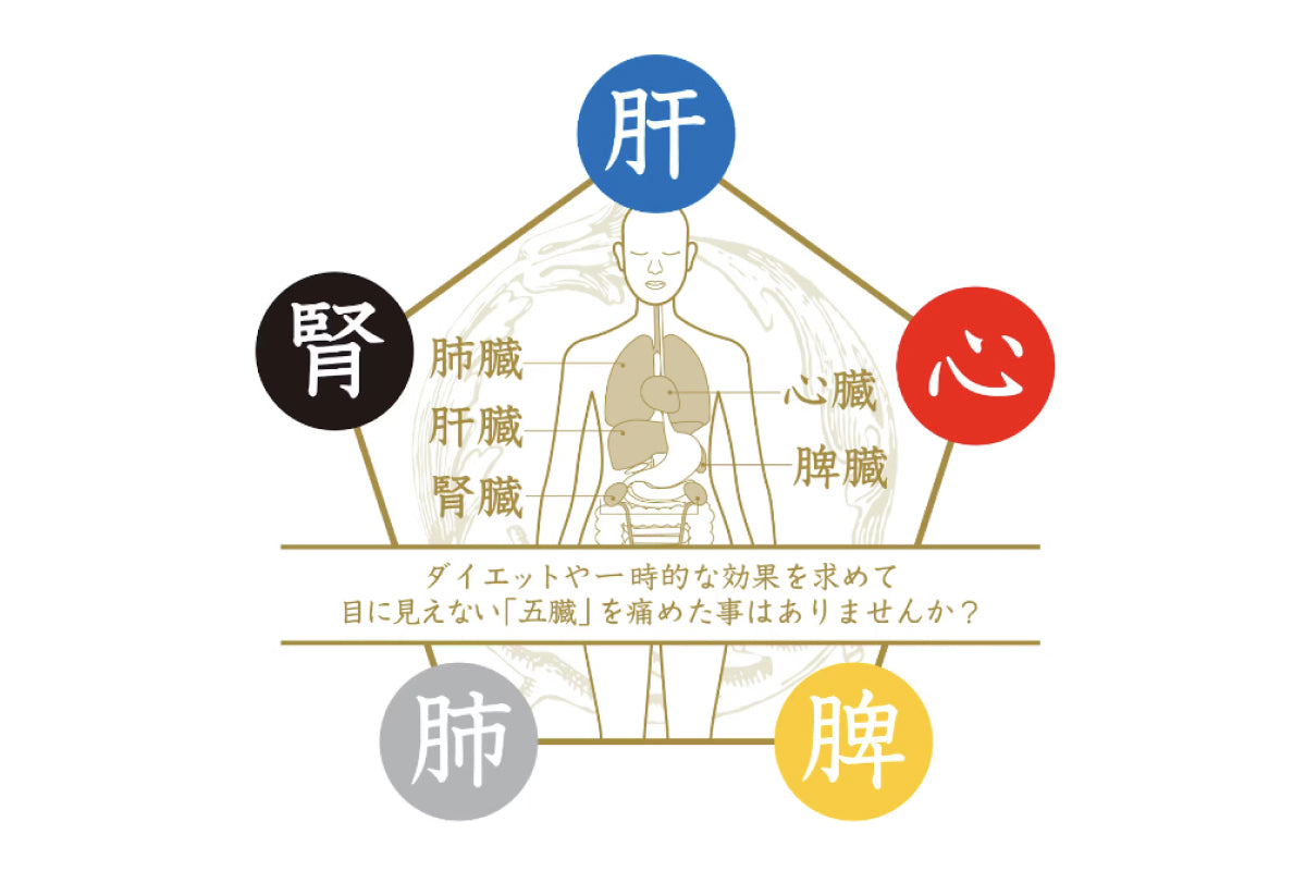 臓活について – BHY STORE