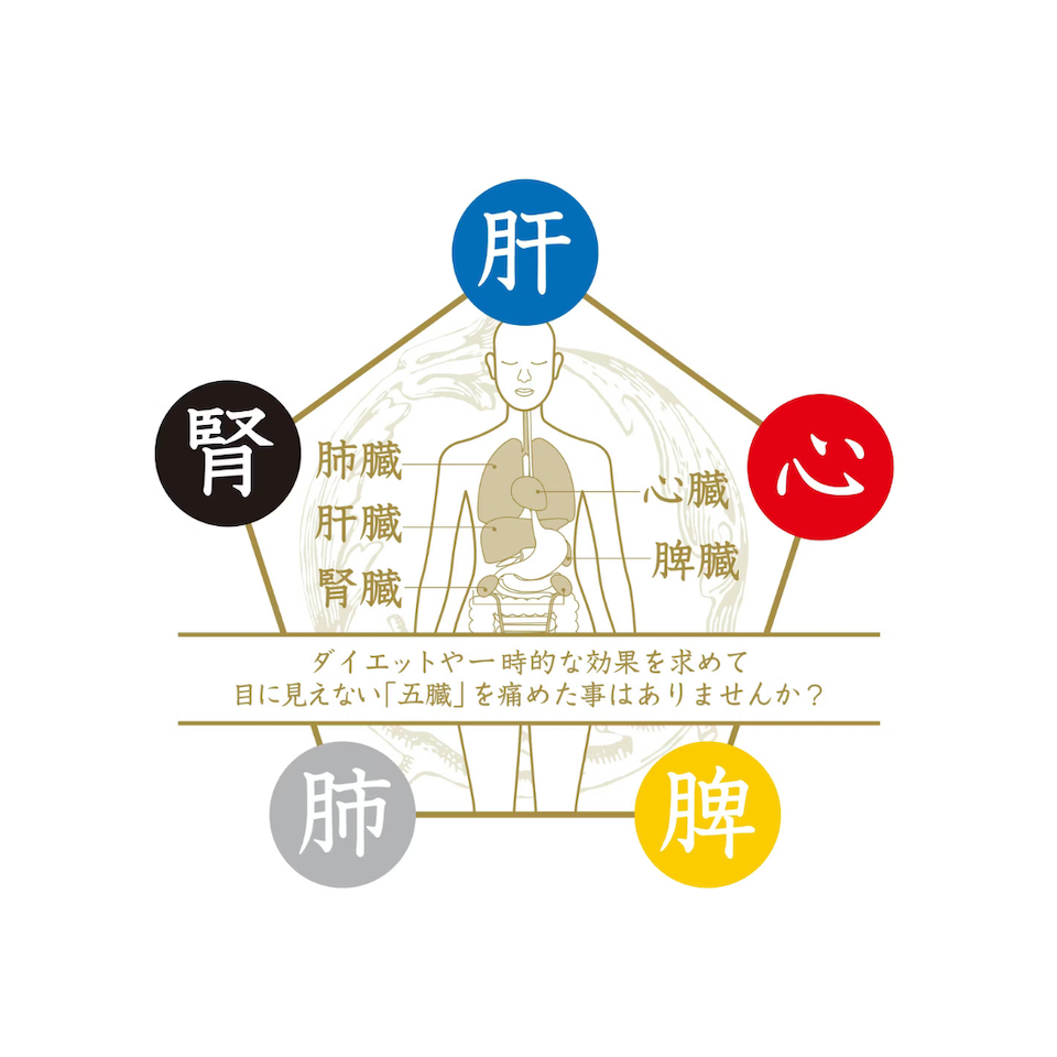臓活茶ギフトパック